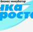 Школьники Омской области могут стать участниками юбилейной профильной смены «Молодежный бизнес-инкубатор «Точка роста». - Саргатский район